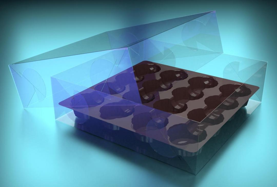 Caja Para 16 Chocolates | Cajas de acetato | Industrias Arra