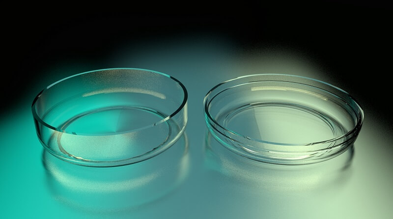 Caja Cristal 56 mm | Gourmet | Industrias Arra Caja Cristal 56 mm | Gourmet | Industrias Arra